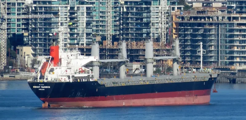 LADY LILLY Bulk Carrier IMO 9642021 photo 5
