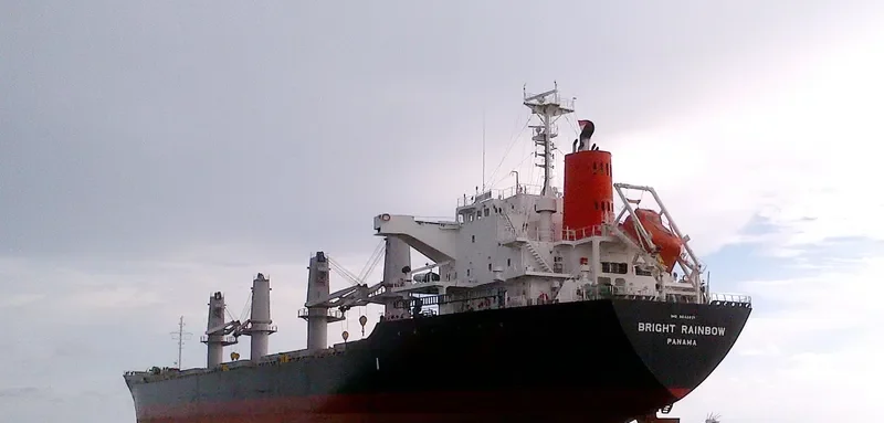 LADY LILLY Bulk Carrier IMO 9642021 photo 8