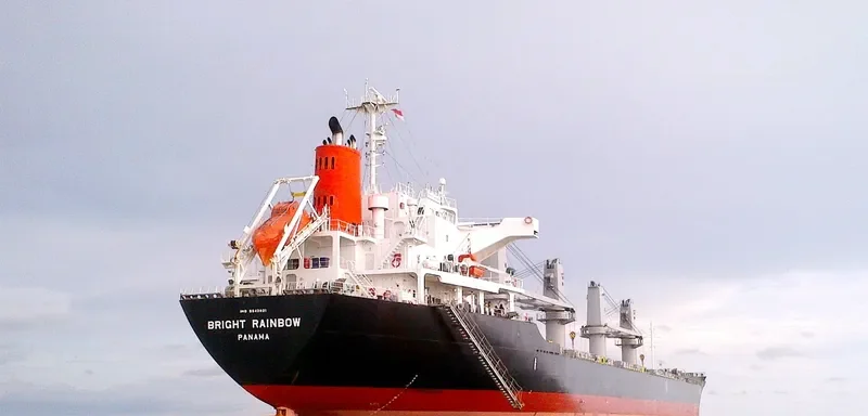 LADY LILLY Bulk Carrier IMO 9642021 photo 9