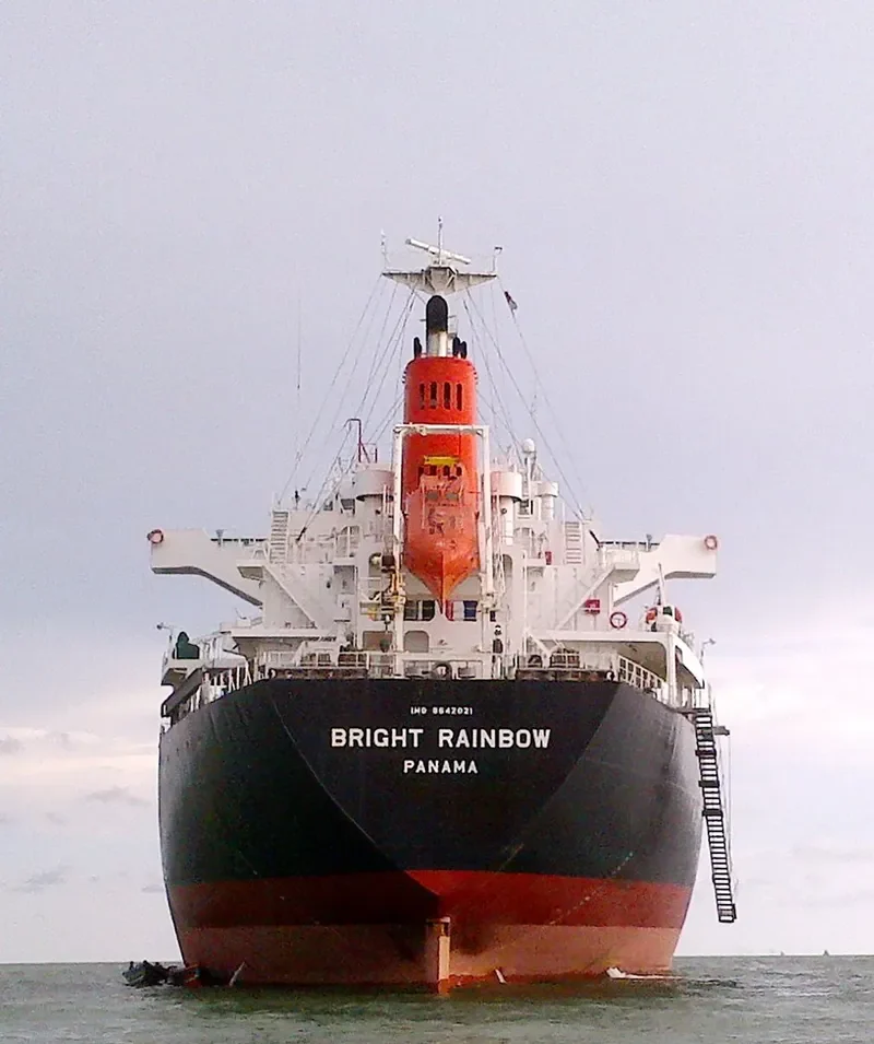 LADY LILLY Bulk Carrier IMO 9642021 photo 10