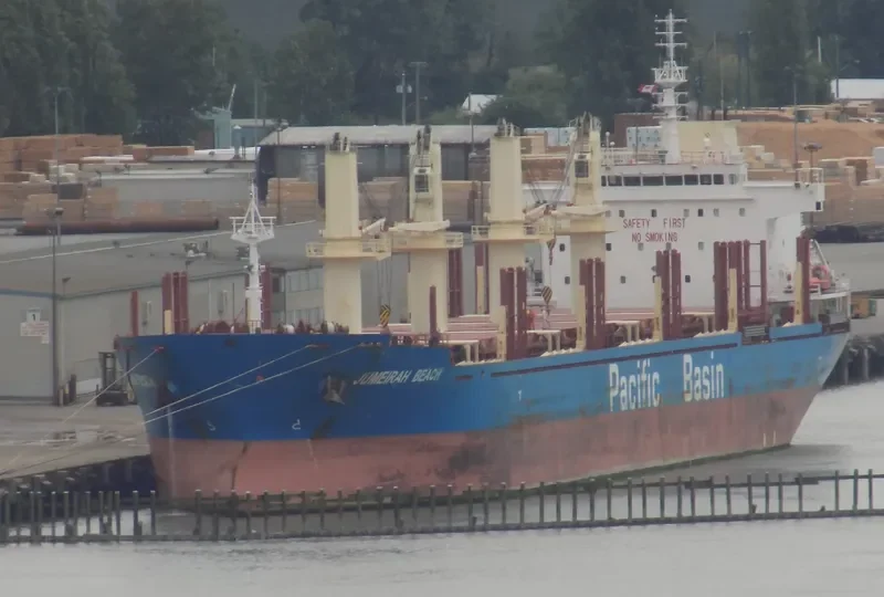 JUMEIRAH BEACH Bulk Carrier IMO 9642045 photo 5