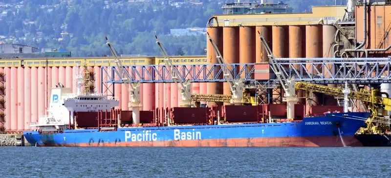 JUMEIRAH BEACH Bulk Carrier IMO 9642045 photo 6