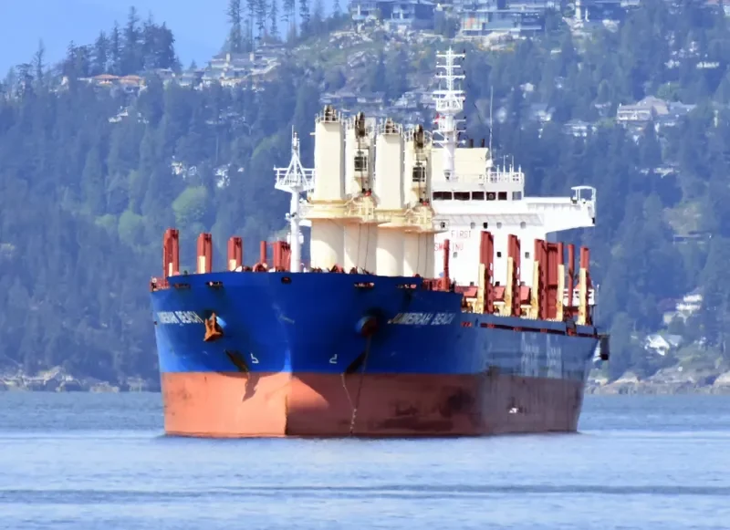 JUMEIRAH BEACH Bulk Carrier IMO 9642045 photo 9