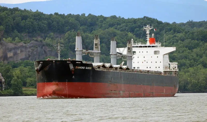 DIAMOND QUEEN Bulk Carrier IMO 9642136 photo 2