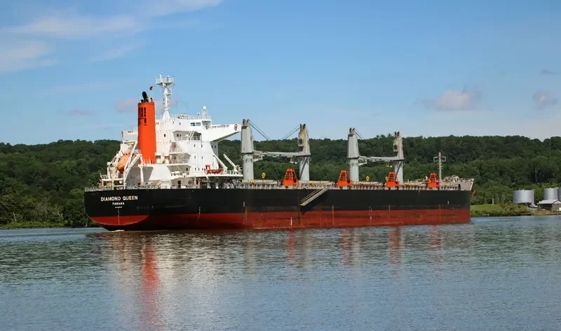 DIAMOND QUEEN Bulk Carrier IMO 9642136 photo 3