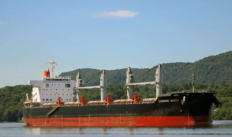 DIAMOND QUEEN Bulk Carrier IMO 9642136 photo 4