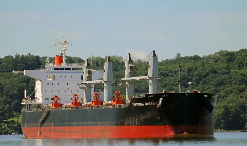 DIAMOND QUEEN Bulk Carrier IMO 9642136 photo 5