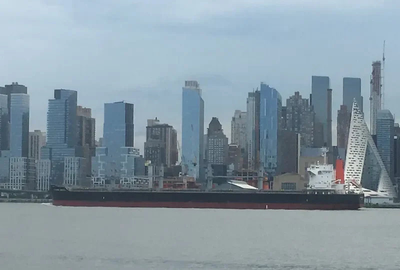 DIAMOND QUEEN Bulk Carrier IMO 9642136 photo 6