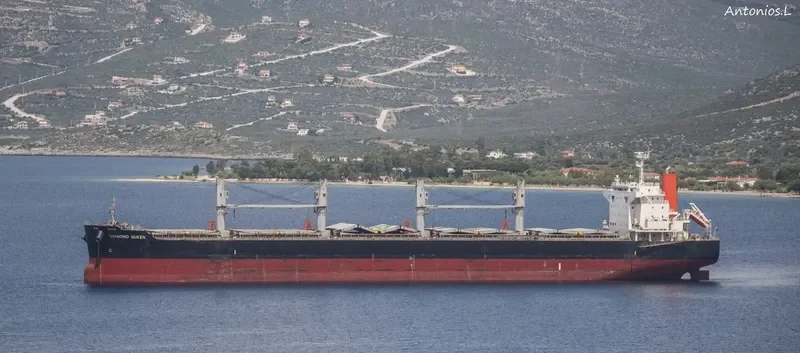 DIAMOND QUEEN Bulk Carrier IMO 9642136 photo 8