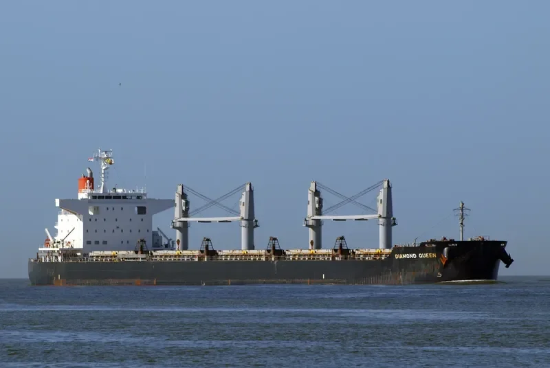 DIAMOND QUEEN Bulk Carrier IMO 9642136 photo 9