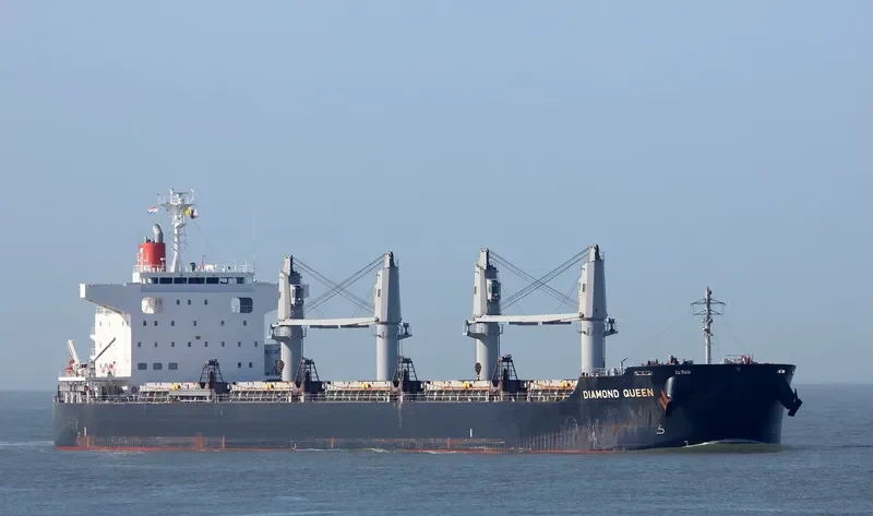 DIAMOND QUEEN Bulk Carrier IMO 9642136 photo 10