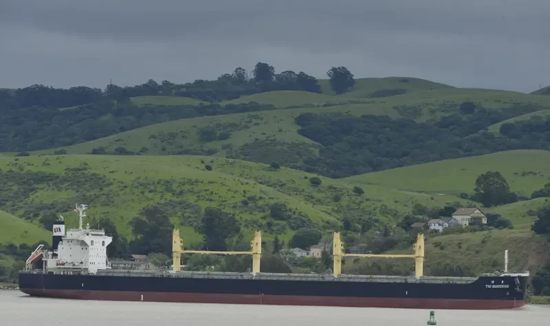 TAI SUCCESS Bulk Carrier IMO 9642148 photo 2