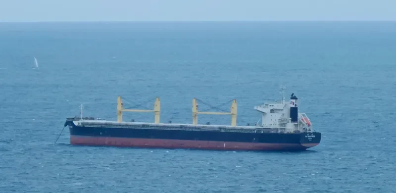 TAI SUCCESS Bulk Carrier IMO 9642148 photo 7