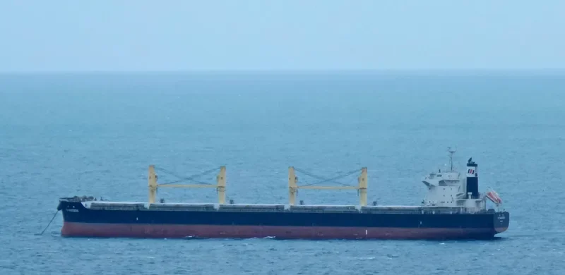TAI SUCCESS Bulk Carrier IMO 9642148 photo 8