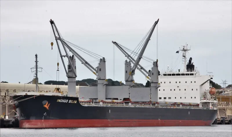 OLIVIAN CONFIDENCE Bulk Carrier IMO 9642162