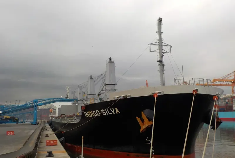 OLIVIAN CONFIDENCE General Cargo IMO 9642162 photo 7