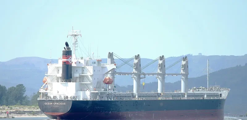 OCEAN GRACIOUS Bulk Carrier IMO 9642174