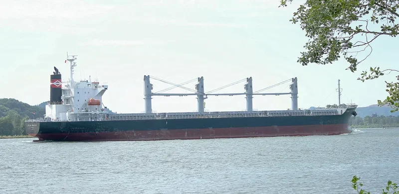 OCEAN GRACIOUS Bulk Carrier IMO 9642174 photo 2