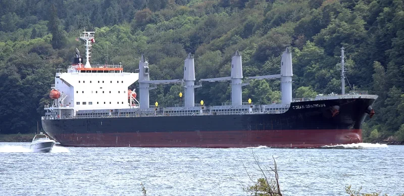 OCEAN GRACIOUS Bulk Carrier IMO 9642174 photo 3