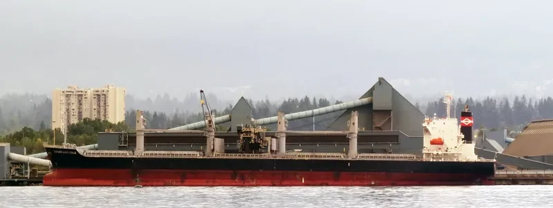 OCEAN GRACIOUS Bulk Carrier IMO 9642174 photo 4