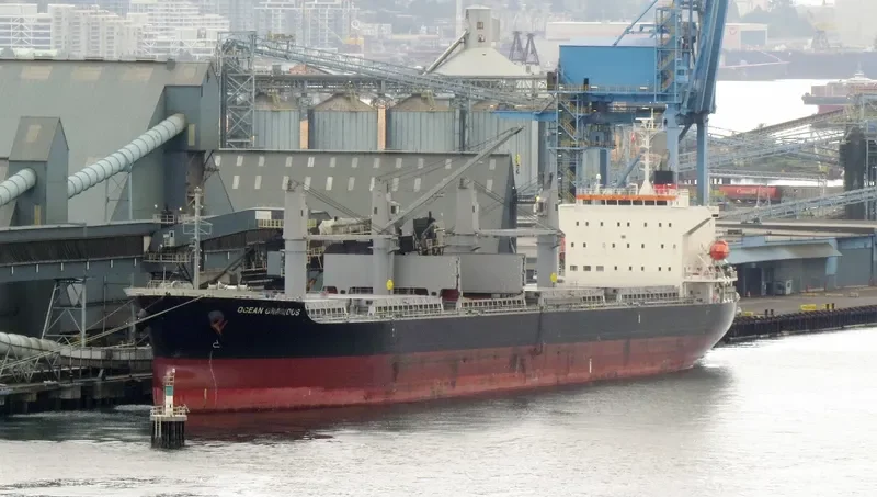 OCEAN GRACIOUS Bulk Carrier IMO 9642174 photo 5