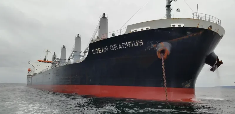 OCEAN GRACIOUS Bulk Carrier IMO 9642174 photo 6