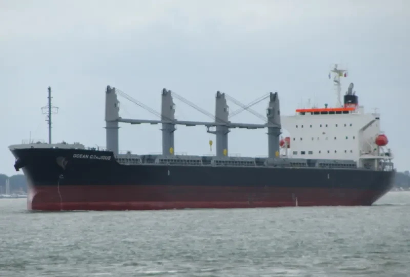OCEAN GRACIOUS Bulk Carrier IMO 9642174 photo 7