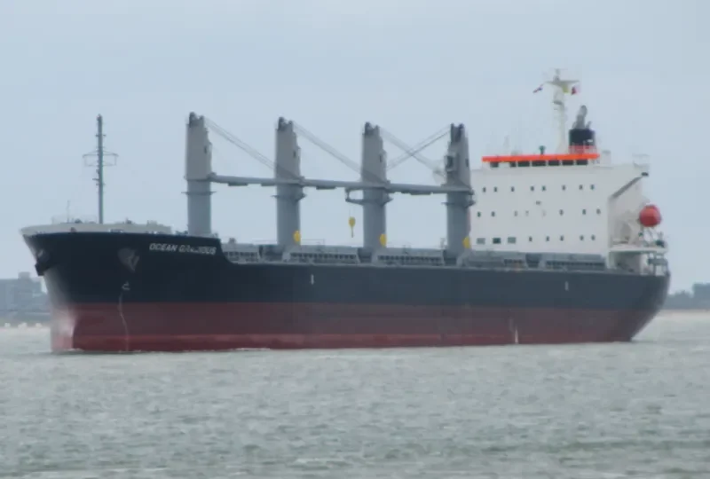 OCEAN GRACIOUS Bulk Carrier IMO 9642174 photo 8