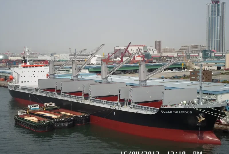 OCEAN GRACIOUS Bulk Carrier IMO 9642174 photo 9