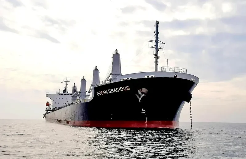 OCEAN GRACIOUS Bulk Carrier IMO 9642174 photo 10
