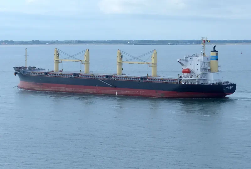 OCEAN BEAUTY Bulk Carrier IMO 9642186 photo 4