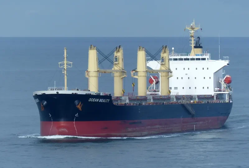OCEAN BEAUTY Bulk Carrier IMO 9642186 photo 5