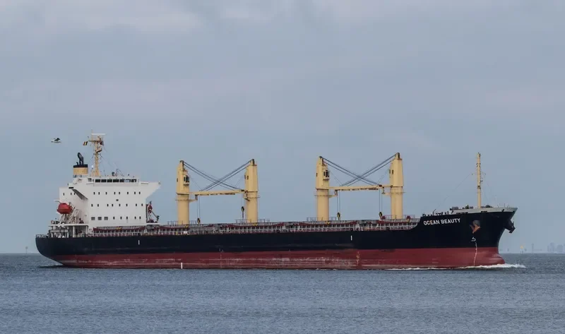 OCEAN BEAUTY Bulk Carrier IMO 9642186 photo 6