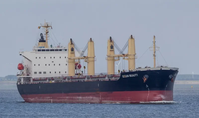 OCEAN BEAUTY Bulk Carrier IMO 9642186 photo 7