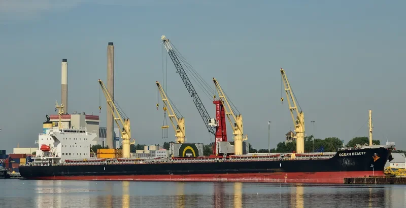 OCEAN BEAUTY Bulk Carrier IMO 9642186 photo 8
