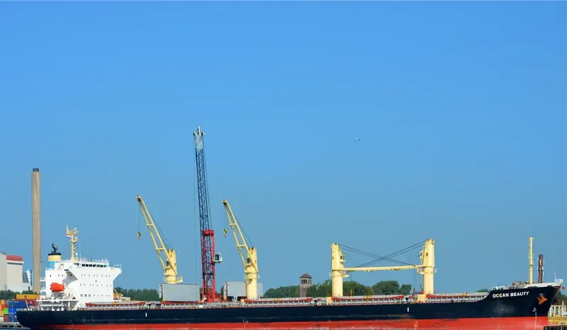 OCEAN BEAUTY Bulk Carrier IMO 9642186 photo 9