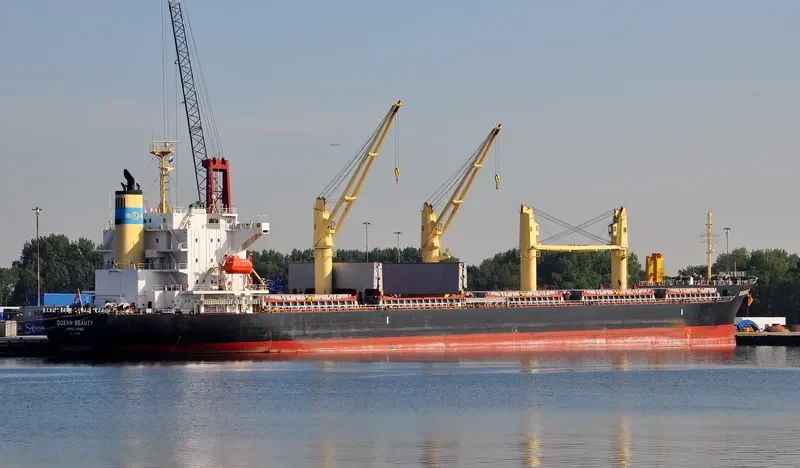 OCEAN BEAUTY Bulk Carrier IMO 9642186 photo 10