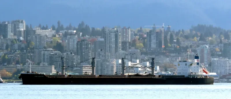 STAR FIGHTER Bulk Carrier IMO 9642198