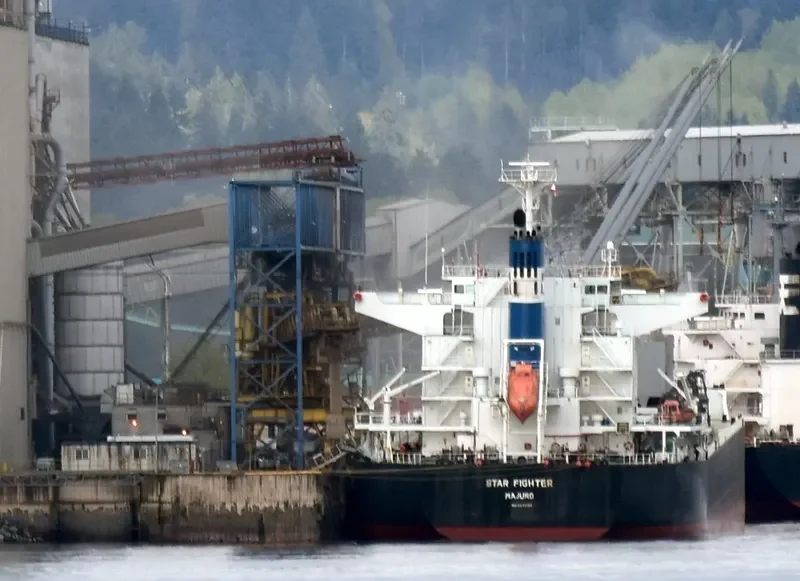 STAR FIGHTER Bulk Carrier IMO 9642198 photo 2
