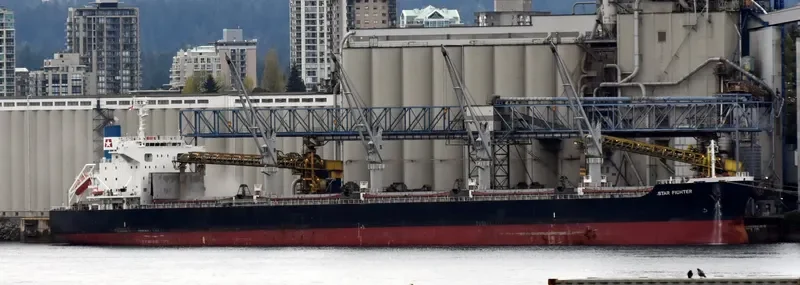 STAR FIGHTER Bulk Carrier IMO 9642198 photo 3