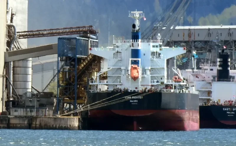 STAR FIGHTER Bulk Carrier IMO 9642198 photo 4