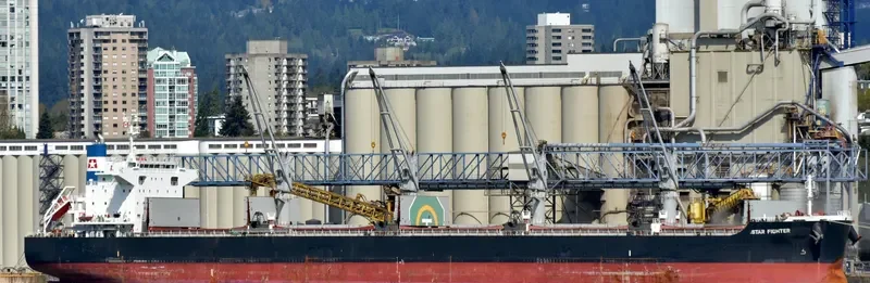 STAR FIGHTER Bulk Carrier IMO 9642198 photo 5