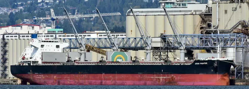 STAR FIGHTER Bulk Carrier IMO 9642198 photo 6