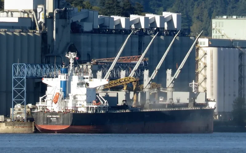 STAR FIGHTER Bulk Carrier IMO 9642198 photo 7