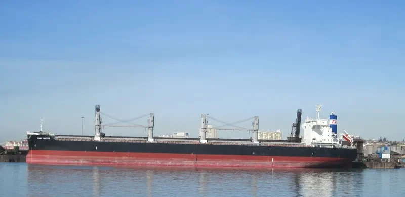 STAR FIGHTER Bulk Carrier IMO 9642198 photo 8