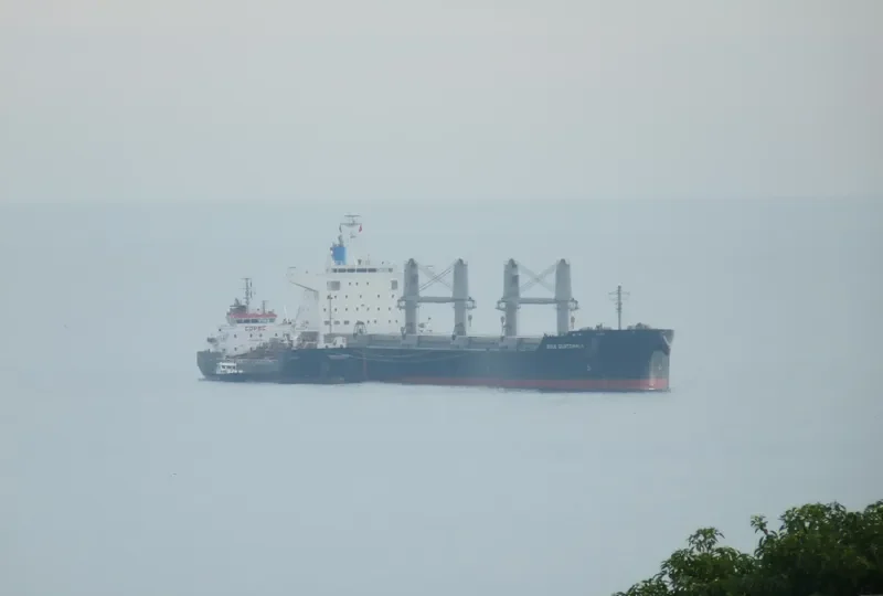 BULK GUATEMALA Bulk Carrier IMO 9642227 photo 7