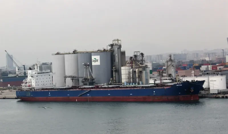 TRITON Bulk Carrier IMO 9642356 photo 3