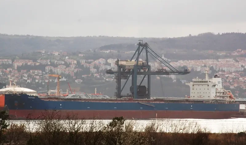 TRITON Bulk Carrier IMO 9642356 photo 7