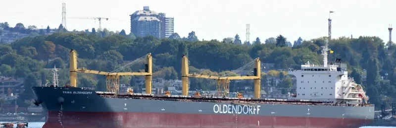 TRINA OLDENDORFF Bulk Carrier IMO 9642370