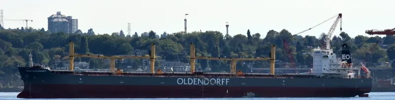 TRINA OLDENDORFF Bulk Carrier IMO 9642370 photo 2